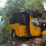 Landslides, fallen trees, empty streets: Cyclone Montha batters Andhra, Odisha Landslides, fallen trees, empty streets: Cyclone Montha batters Andhra, Odisha