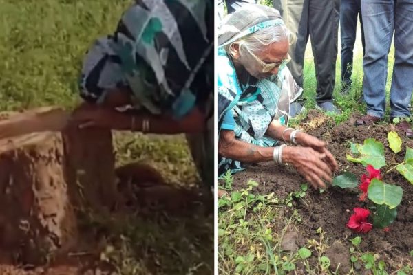 We the peepal: Woman's wails over felled tree get cop, MLA into action