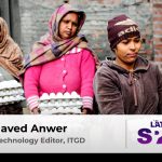 Not just fake paneer, India has an egg problem as well