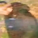 Indian woman raped in ‘racially aggravated’ attack in UK, suspect caught on CCTV Indian woman raped in 'racially aggravated' attack in UK, suspect caught on CCTV