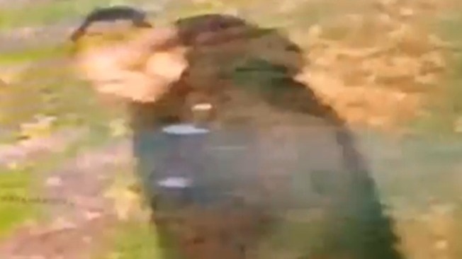 Indian woman raped in 'racially aggravated' attack in UK, suspect caught on CCTV