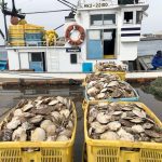 Japan resumes seafood exports to China after ban over Fukushima wastewater