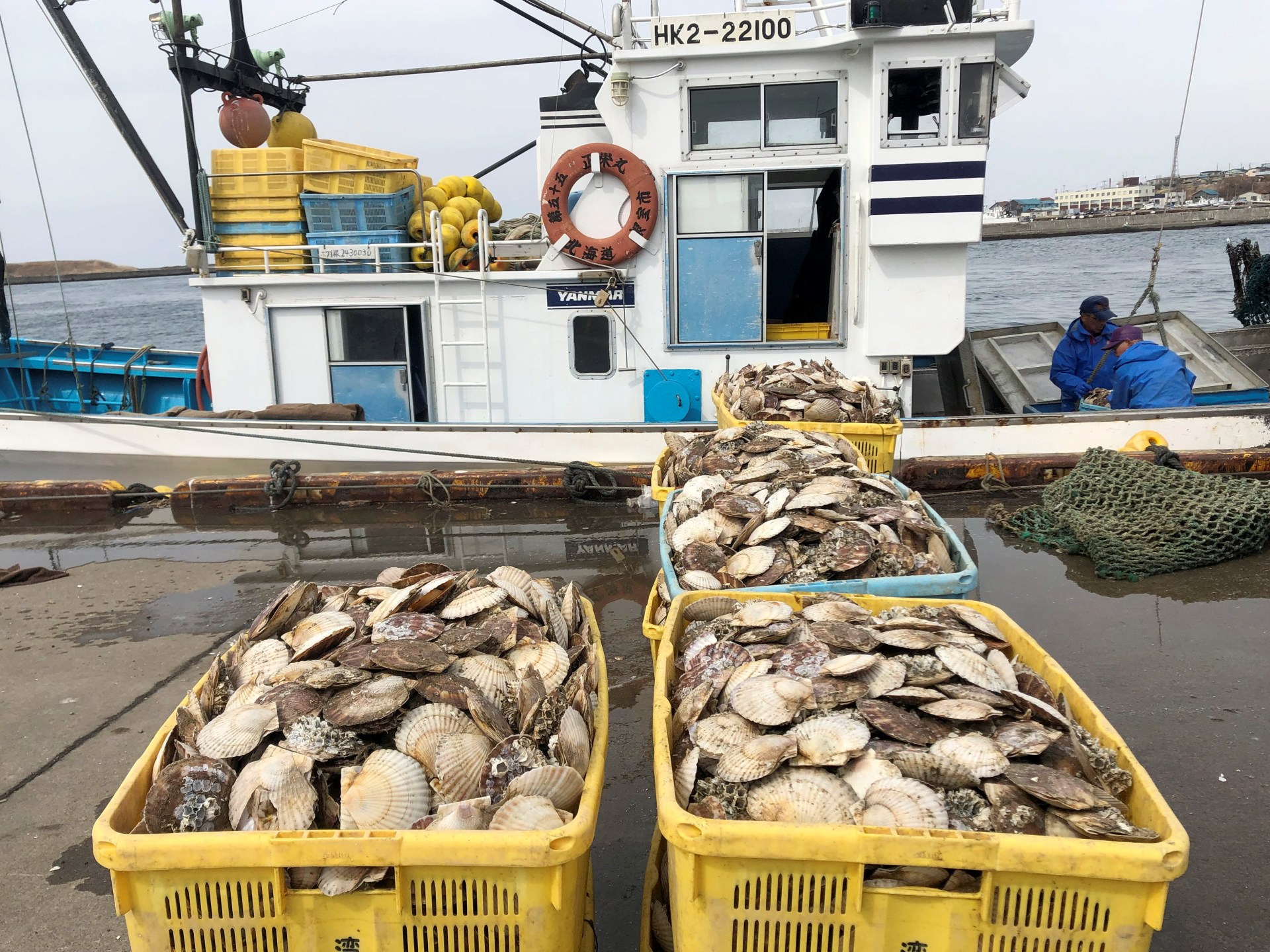 Japan resumes seafood exports to China after ban over Fukushima wastewater