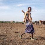 Non-native tree devastates Ethiopia’s ecosystems and threatens livelihoods