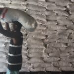 How Trump-era funding cuts endanger efforts to empower Haiti’s farmers