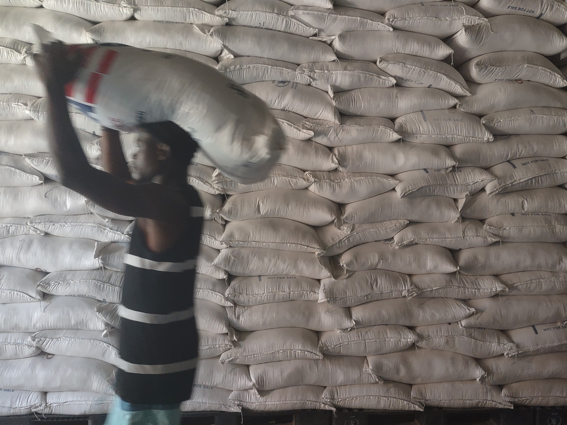 How Trump-era funding cuts endanger efforts to empower Haiti’s farmers