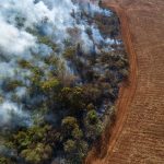 Brazil’s soya moratorium slowed Amazon deforestation. Now it’s challenged