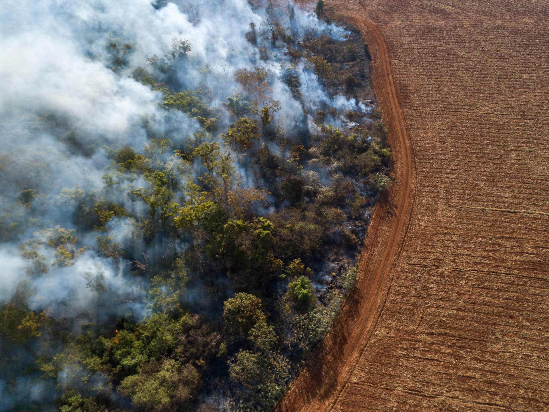 Brazil’s soya moratorium slowed Amazon deforestation. Now it’s challenged