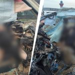 5 killed as Fortuner collides with sand-loaded tractor on Madhya Pradesh highway