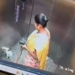 Shocking CCTV: Bengaluru domestic help seen throwing dog on lift floor, pet dies