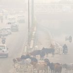Delhi air remains 'very poor', pollution body says GRAP-3 curbs not needed for now