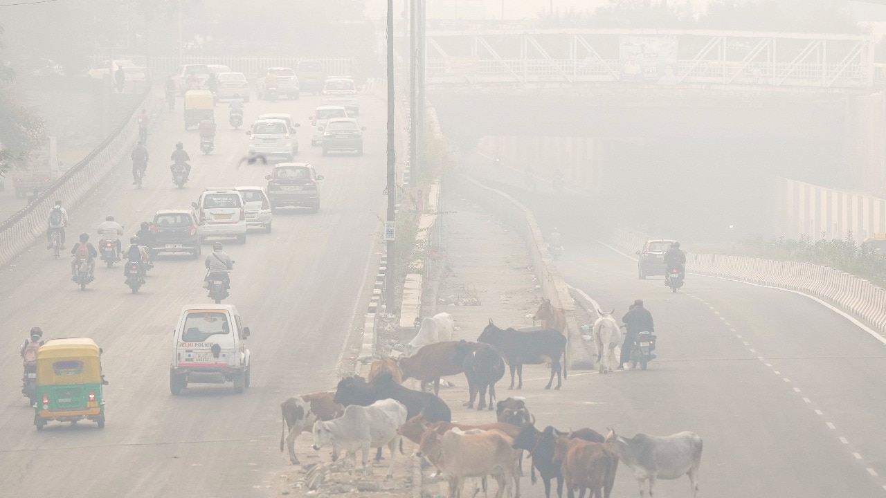 Delhi air remains 'very poor', pollution body says GRAP-3 curbs not needed for now