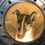 She went to space to never come back: The little dog and her ultimate sacrifice