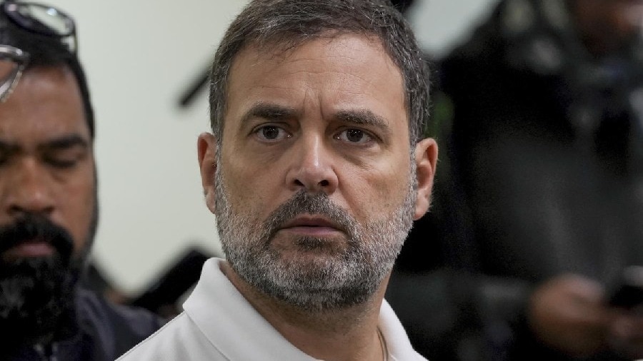 10% of population controls Army: Rahul Gandhi's remark in Bihar sparks row